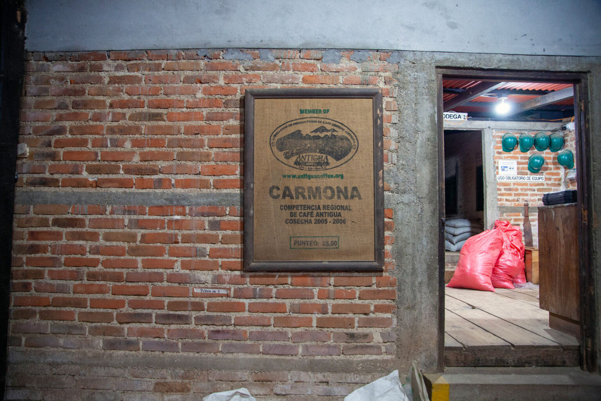Hacienda Carmona, Guatemala Washed
