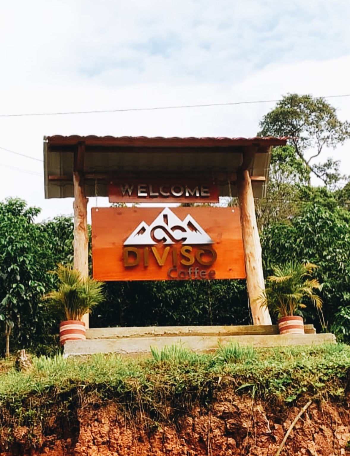 El Diviso, Colombia - Sidra, Thermal Shock Natural