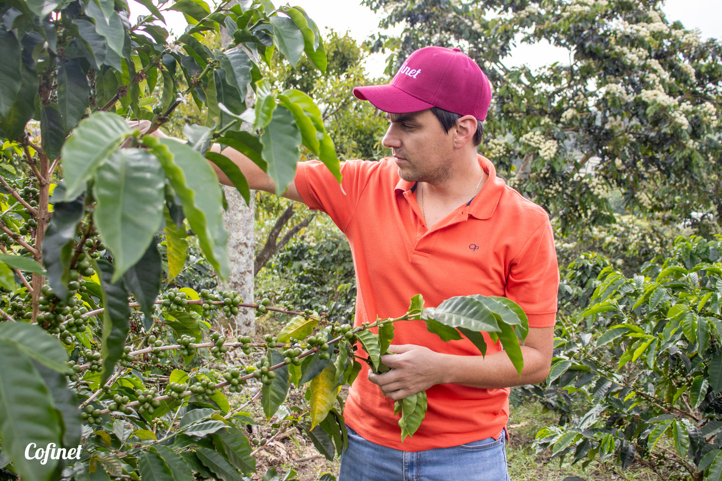 Colombia La Divisa, Washed Single Origin