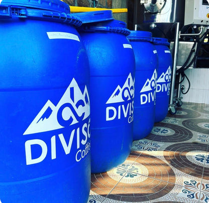 El Diviso, Colombia - Sidra, Thermal Shock Natural