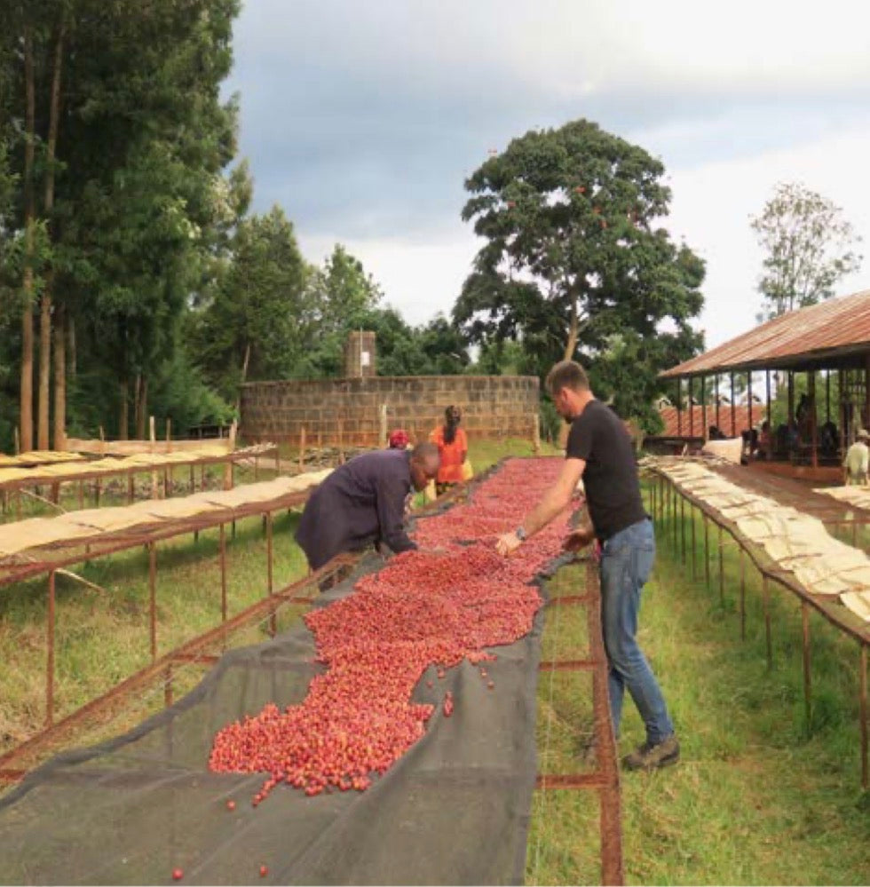 Kenya Thageini , CM Washed Single Origin