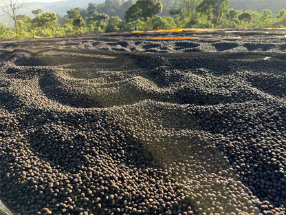 Ethiopia Danche, Chelbesa, Anaerobic Natural
